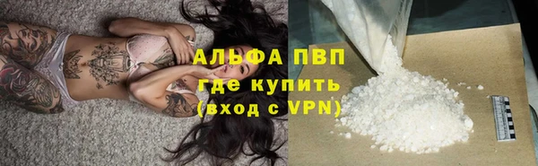 дмт Мегион