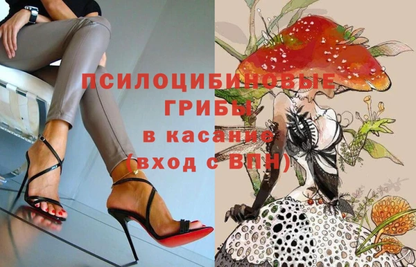 экстази Медвежьегорск